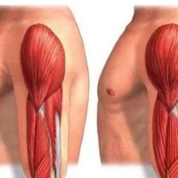 COME GENERARE IPERTROFIA&nbsp;MUSCOLARE